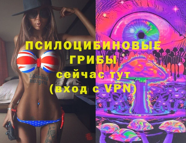 спайс Алексеевка