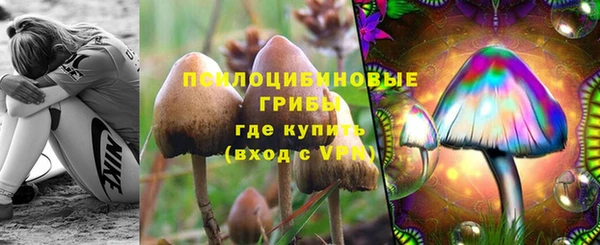 герыч Алексин