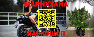 прущие крисы Донской