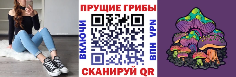 Галлюциногенные грибы прущие грибы  купить наркотик  Ливны 